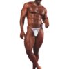 Men's Underwear Sheer Transparent High Fork | Bold Low Rise