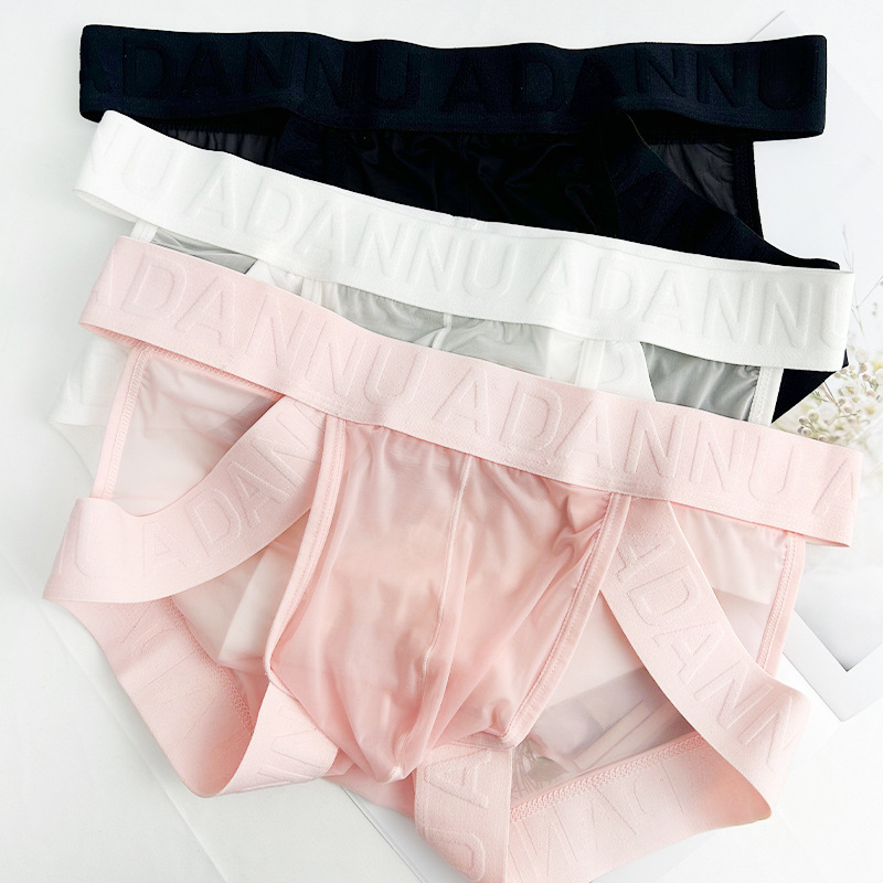 Briefs Mesh | Men's Transparent High-Cut Double Thong 5 Briefs Mesh | Men's Transparent High-Cut Double Thong - Image 5