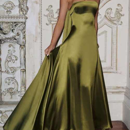 Wedding Guest Dress
